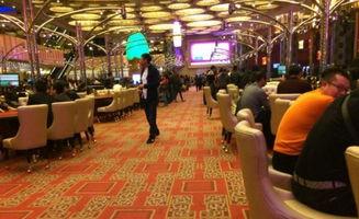 明星开赌场,揭秘明星投资赌场的秘密世界