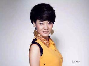 咸宁 明星,璀璨星河中的耀眼明珠