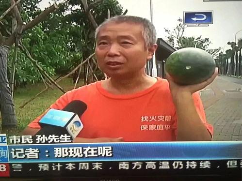 423事件吃瓜群众,吃瓜群众视角下的网络狂欢与反思