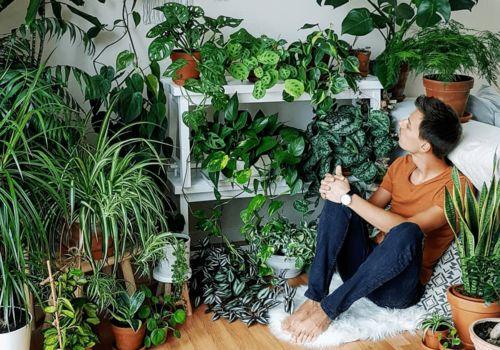 植物家女儿在线观看,探寻自然奥秘的青春之旅