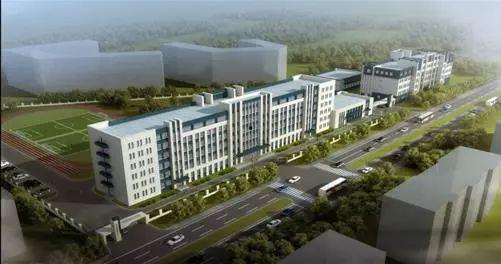 哈尔滨群力今日头条,哈尔滨群力新区今日热点速览