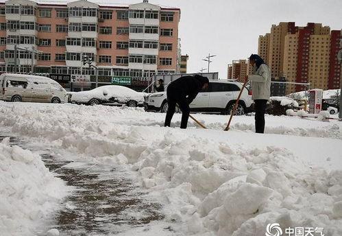今日头条阳春大雪,冬日里的诗意画卷