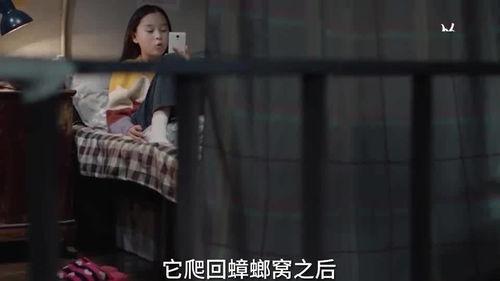 女生的秘密被爆料视频,女生隐私视频意外曝光，引发社会热议