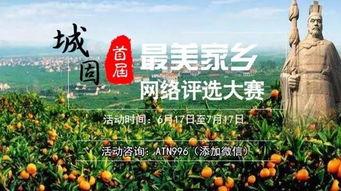 城固新闻头条公路,新公路建设进展喜人，助力区域经济发展