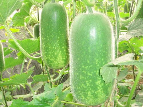 824吃瓜去哪里看,热门平台一览，精彩内容不容错过