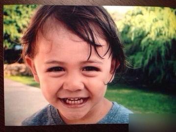 明星小孩大曝光,明星小孩大曝光，萌态可掬引关注