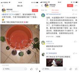 娱乐领域怎么发微头条