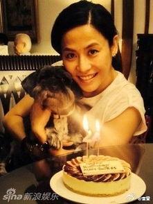 8月18明星生日,8月18日群星闪耀生日盛典