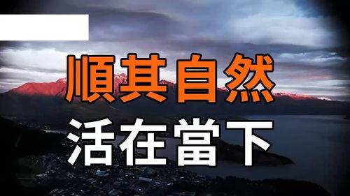 顺其自然上头条的人,上头条的秘诀