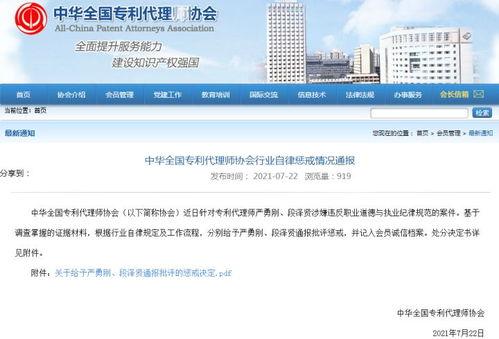 网红审查员,网络内容监管背后的故事