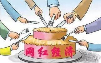 网红的论点,揭秘网络红人现象背后的真相