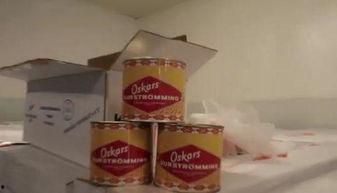 鲱鱼罐头试吃网红说说,鲱鱼罐头试吃网红现象解析